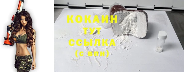 шишки Балабаново