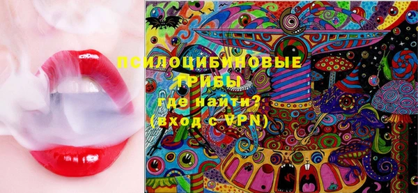 шишки Балабаново