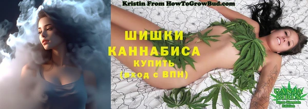шишки Балабаново