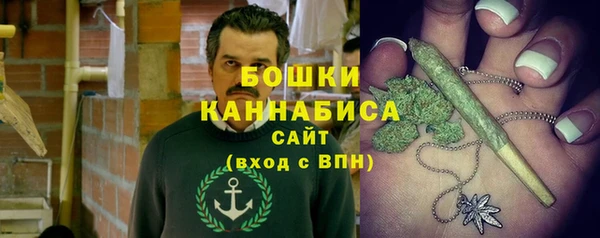 шишки Балабаново