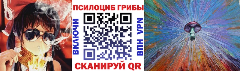 Псилоцибиновые грибы Magic Shrooms купить наркоту Шагонар